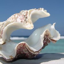 Схема вышивки «№695605»