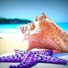 Схема вышивки «№695613»