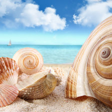 Схема вышивки «№695629»