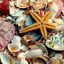 Схема вышивки «№695630»