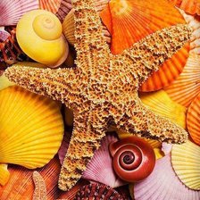 Схема вышивки «№695640»