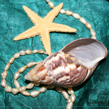 Схема вышивки «№695657»