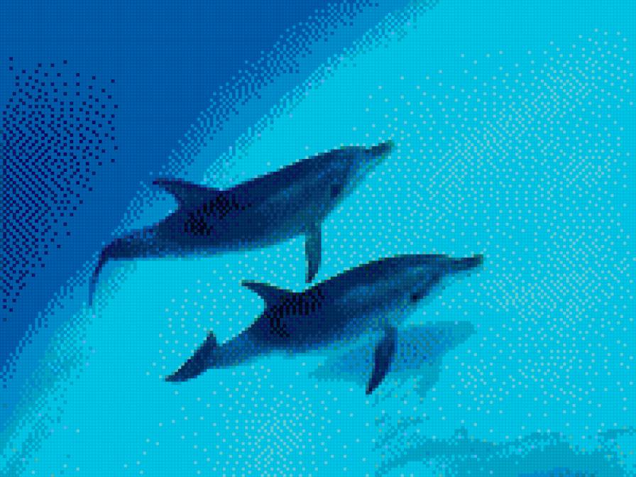 №695675 - предпросмотр