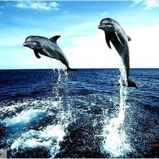 Схема вышивки «№695702»