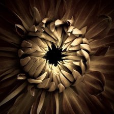 Схема вышивки «Миг»