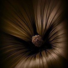 Схема вышивки «Мерцание»