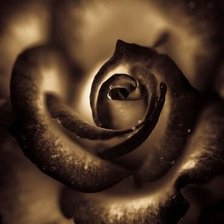 Схема вышивки «Сияние»