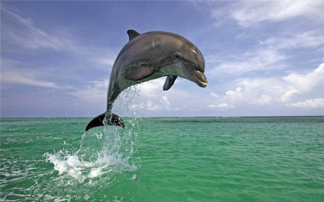 №695721 - оригинал