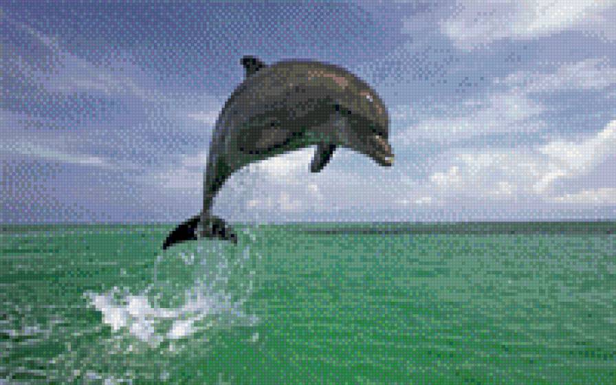 №695721 - предпросмотр