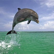 Схема вышивки «№695721»