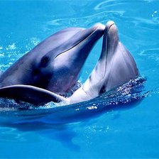 Схема вышивки «№695724»