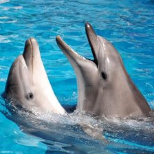 Схема вышивки «№695734»