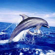 Схема вышивки «№695751»