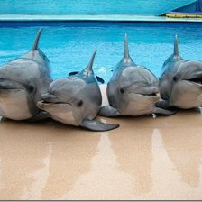 Схема вышивки «№695765»