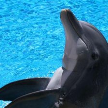 Схема вышивки «№695784»