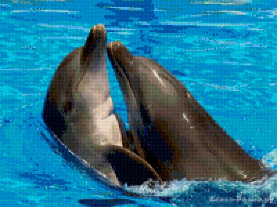 №695785 - предпросмотр