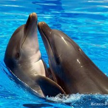 Схема вышивки «№695785»