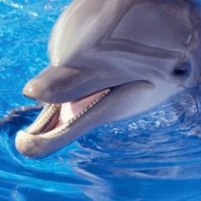 Схема вышивки «№695790»