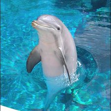 Схема вышивки «№695791»