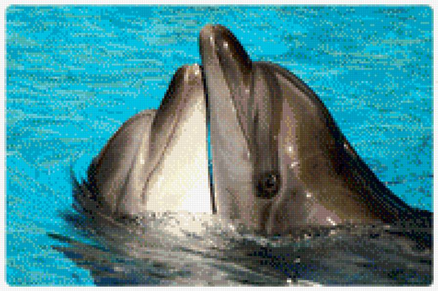 №695923 - предпросмотр