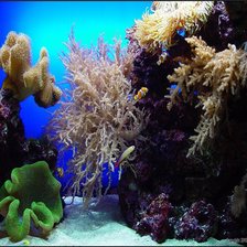 Схема вышивки «№695931»