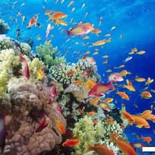 Схема вышивки «№695939»