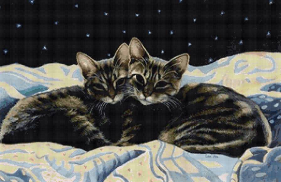 красавчики - котики, коты - предпросмотр