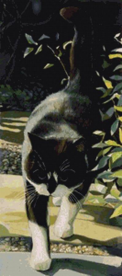 я гуляю сам по себе - кот, коты, котики - предпросмотр