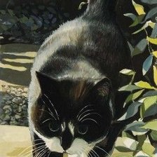 я гуляю сам по себе