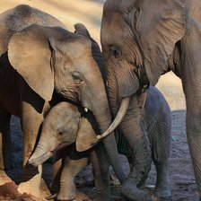 Схема вышивки «Семья»