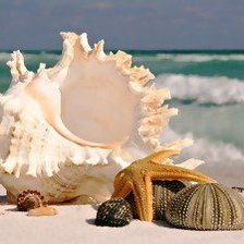 Схема вышивки «Морской пейзаж»