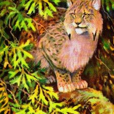 Схема вышивки «рысь»