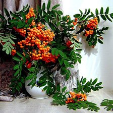 Схема вышивки «рябина»