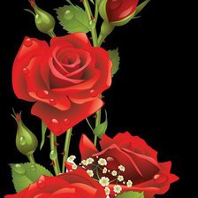 Схема вышивки «розы»