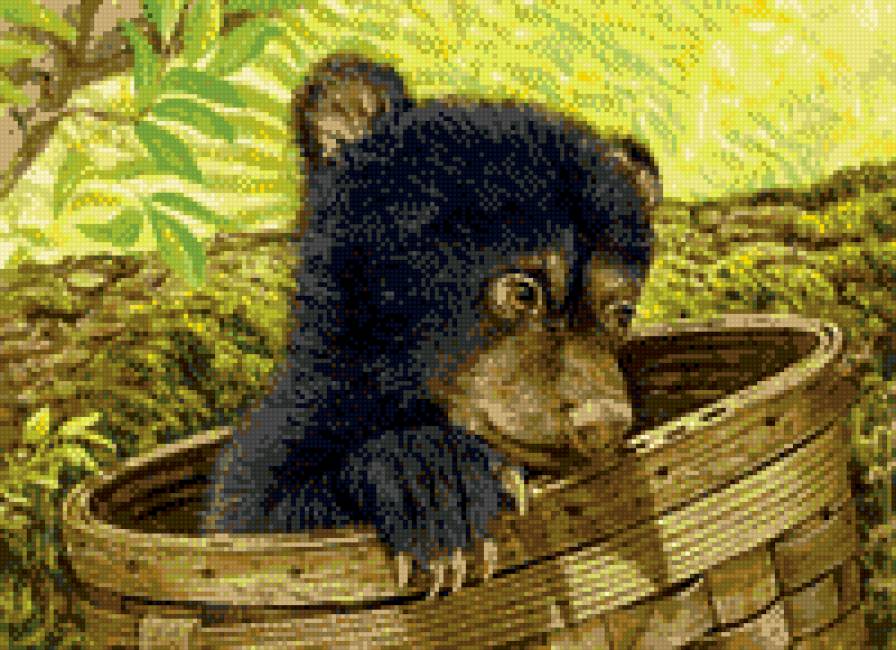 медвежонок - животные, природа, медведи - предпросмотр