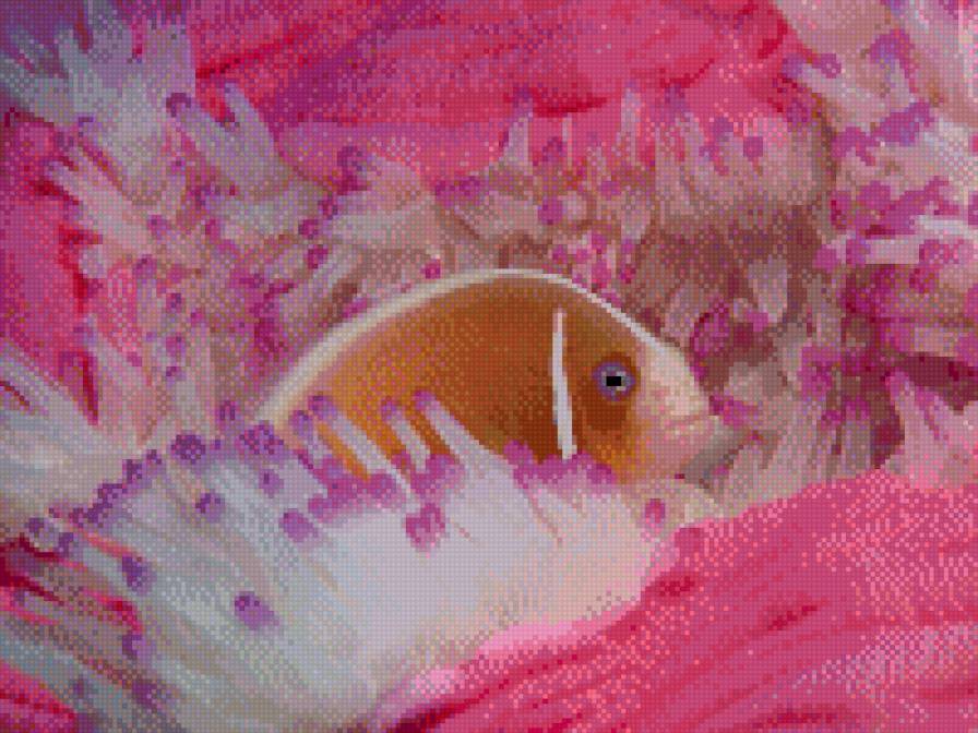 №696338 - предпросмотр