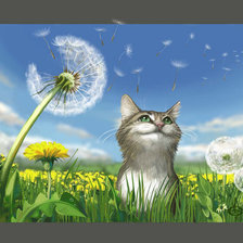 Схема вышивки «котэ»