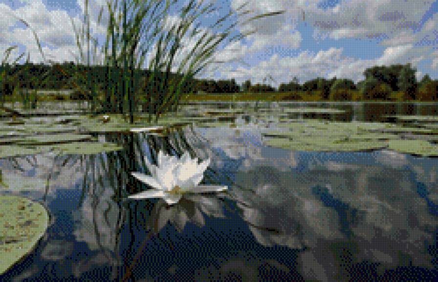 №696477 - предпросмотр