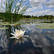 Схема вышивки «№696477»