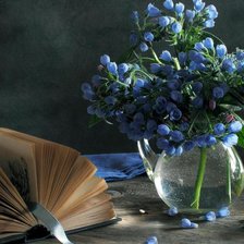 Схема вышивки «№696511»