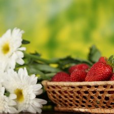 Схема вышивки «№696521»