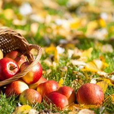 Схема вышивки «№696589»