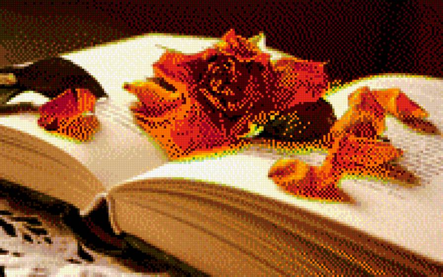 №696630 - книга, цветы, розы - предпросмотр