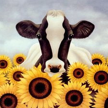 Схема вышивки «в подсолнухах»