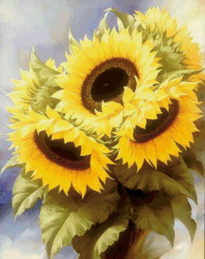 подсолнухи - поле, урожай, цветы, солнце, подсолнухи, лето - предпросмотр