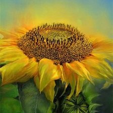 Схема вышивки «подсолнух»