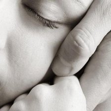 Схема вышивки «нежность»