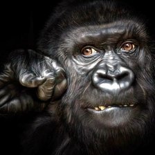 Схема вышивки «вожак»