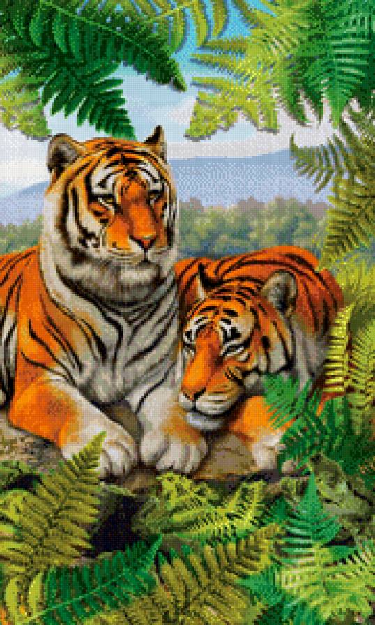 семейство - тигры, семья - предпросмотр