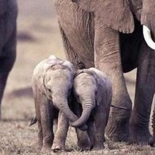 Схема вышивки «Семья»